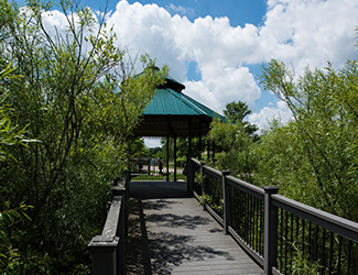 Wooden boardwalk leading up to gazebo