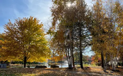 Burial plot in the woods with fall colours on the trees