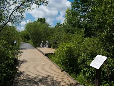 a boardwalk in the woods