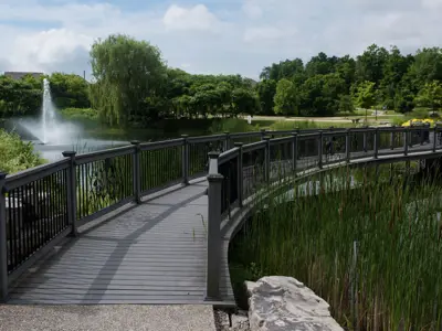 boardwalk over the water