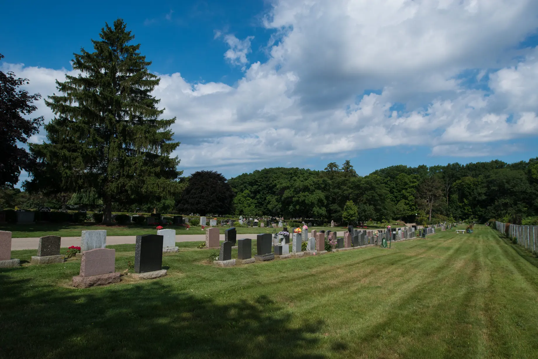 Overlooking a cemetery with trees and grass
