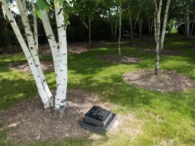 wooded areas with gravestones at the base of the trees
